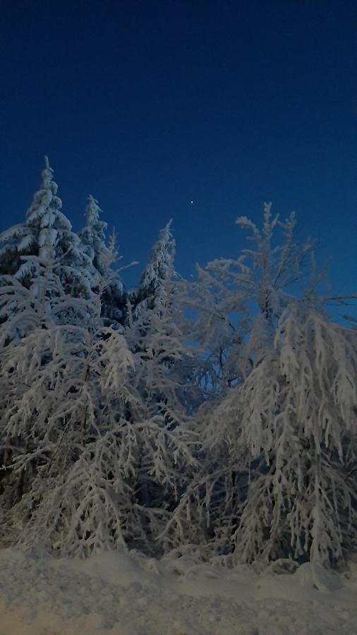 Traumhafter Harzblick Appartamento Goslar Esterno foto
