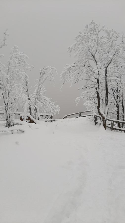 Traumhafter Harzblick Appartamento Goslar Esterno foto